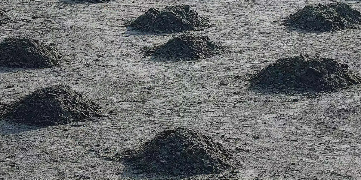 1701702236404025.jpg